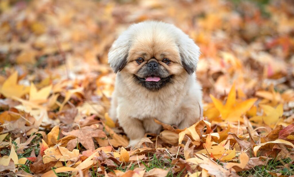 ダメンズがいつも同じパターンになってしまう理由は？