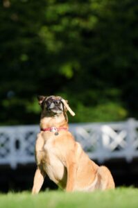 婚活がうまくいかない女性のための改善法は？