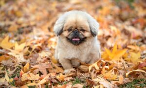 恋愛が始まりやすい見た目とはどんな特徴があるの？