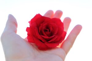 返信遅くても安心な女性向けのコミュニケーション術とは？