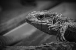 ダメンズと別れる決心をするためのポイントは？