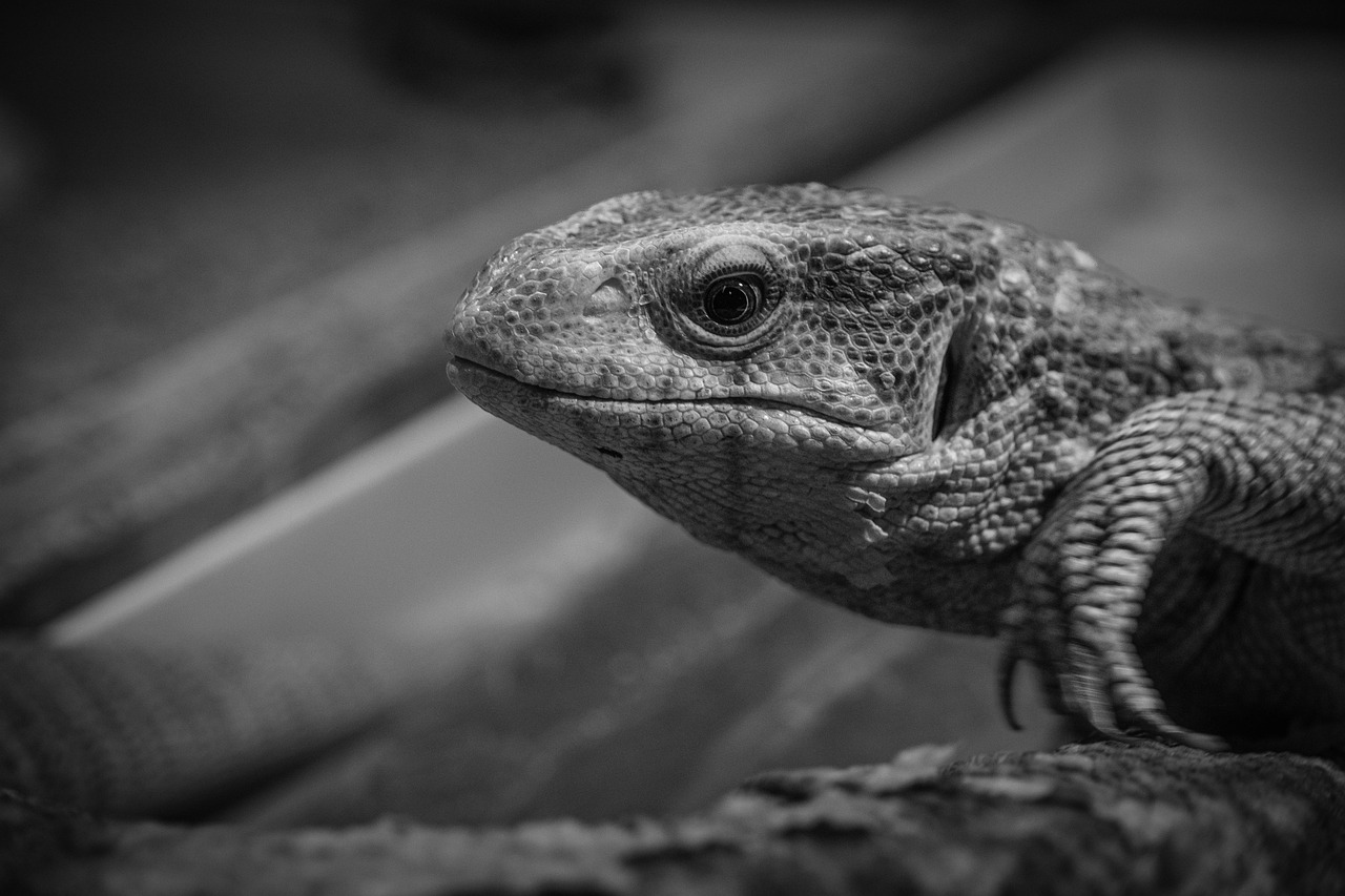 ダメンズと別れる決心をするためのポイントは？