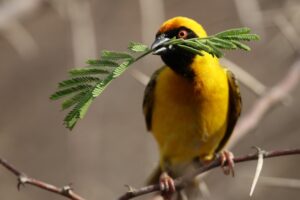 ダメンズウォーカーから脱出する方法は？